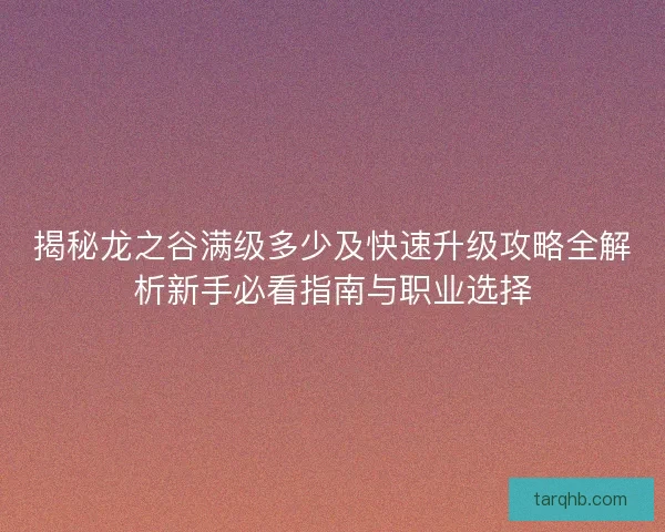 揭秘龙之谷满级多少及快速升级攻略全解析新手必看指南与职业选择