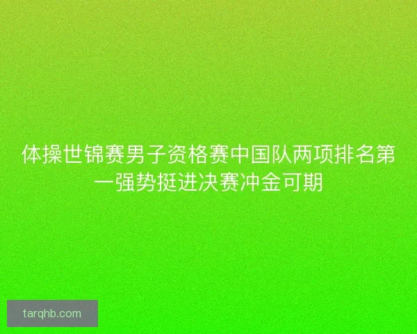 体操世锦赛男子资格赛中国队两项排名第一强势挺进决赛冲金可期